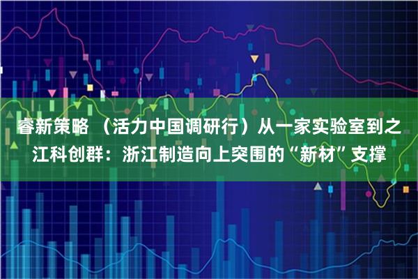 睿新策略 （活力中国调研行）从一家实验室到之江科创群：浙江制造向上突围的“新材”支撑
